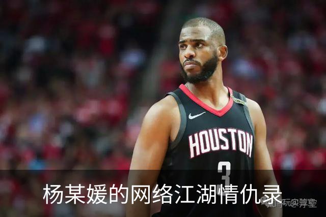杨某媛的网络江湖情仇录