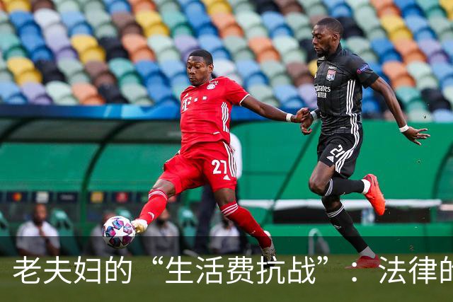 老夫妇的“生活费抗战”：法律的温暖与坚持